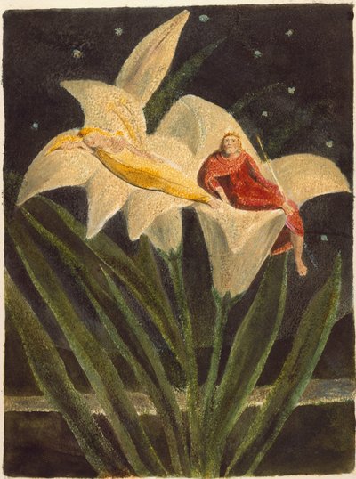 The Song of Los by William Blake